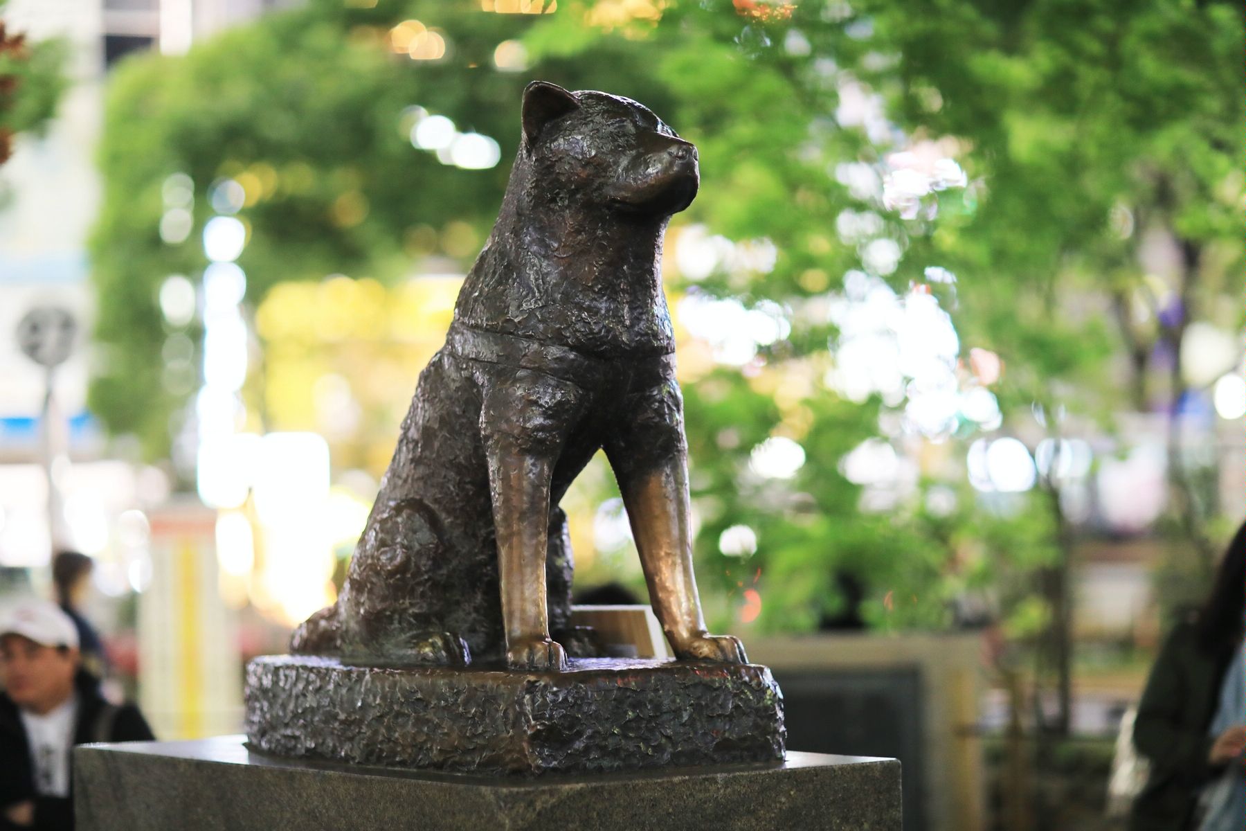 Памятник хатико в японии фото и история